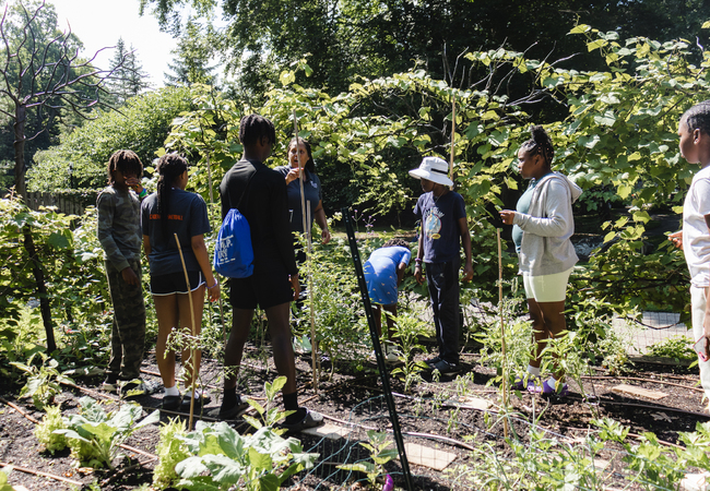 Circle Explorers Summer Camp 2023