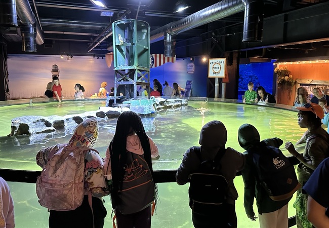 Circle Explorers Summer Camp 2023