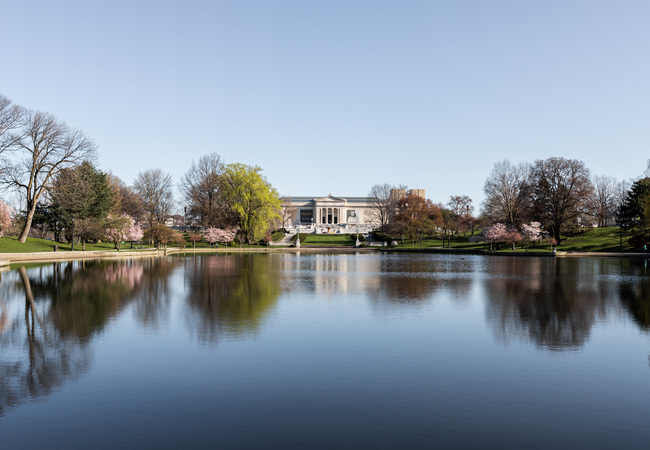Best Places to See Spring Blooms in University Circle