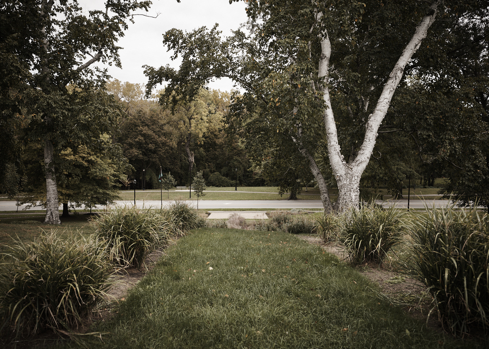 Music in the Cultural Gardens