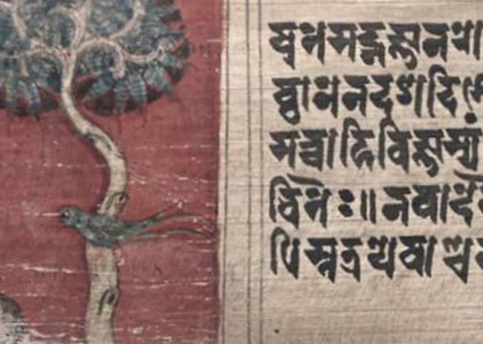 Medieval Indian Manuscripts and the Stories They Tell