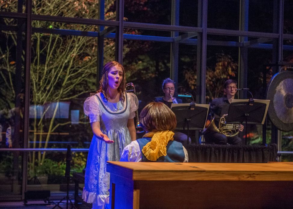 A Pocketful of Operas