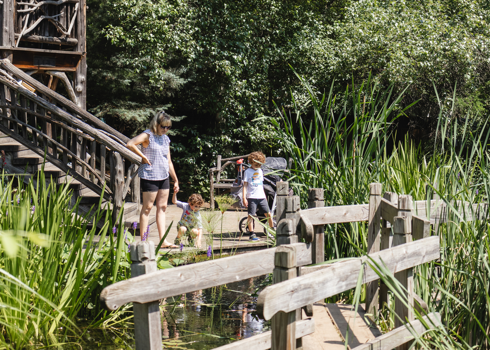 Hershey Children’s Garden Summer Celebration