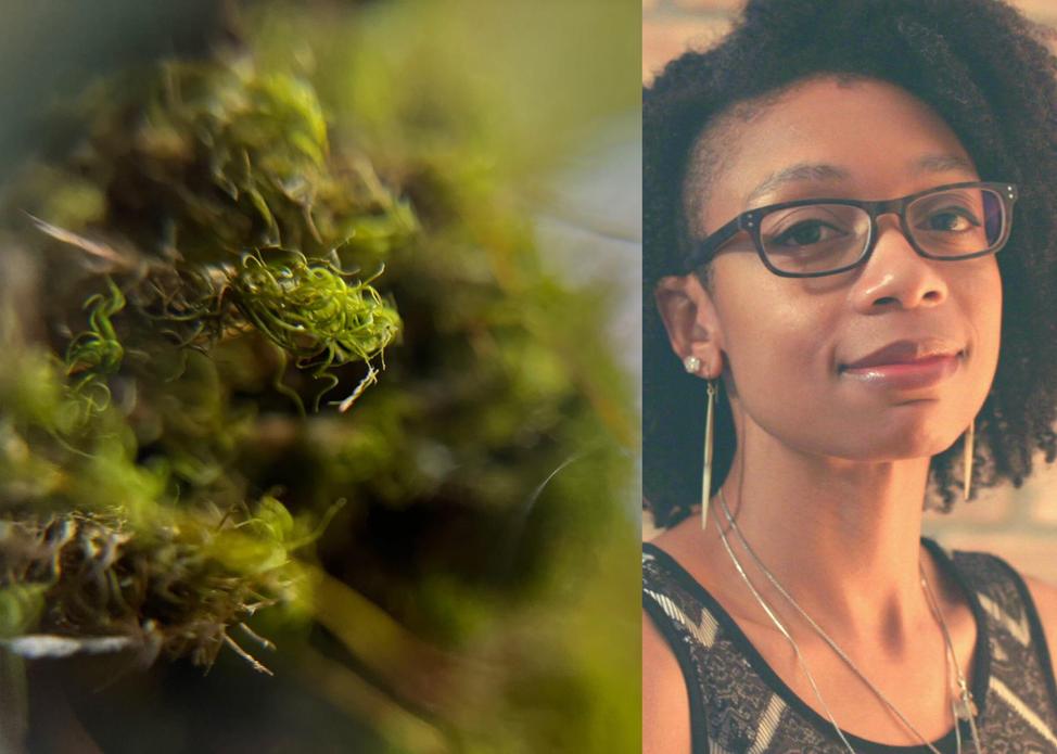 Lunch on Fridays: Simone Barros