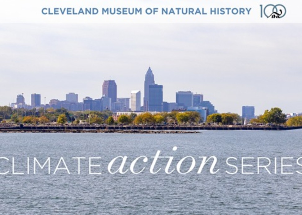 Water We Waiting For? Take Action with Drink Local. Drink Tap. 