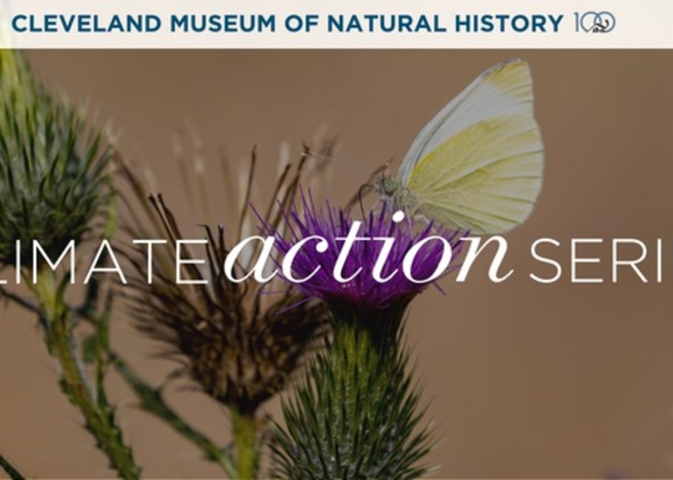 Climate Action Series: Species on the Move