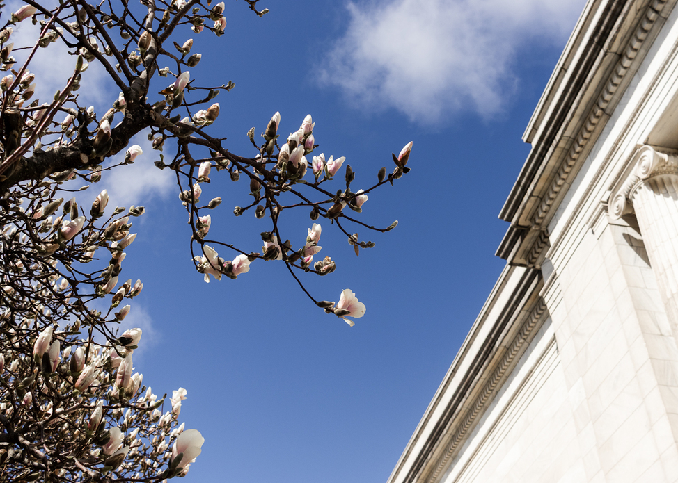 University Circle Spring Blooms Tracker 2026