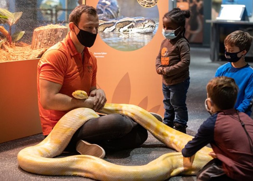 Wildlife Rescue: Miracles in Conservation