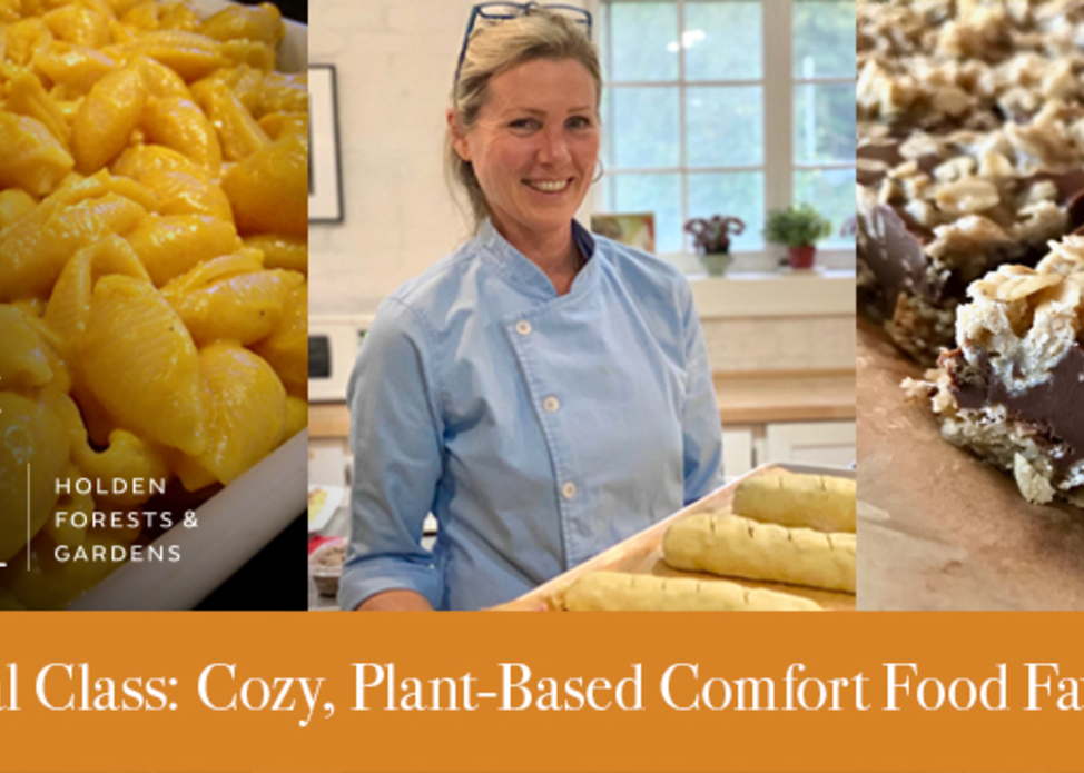 Virtual Class: Cozy, Plant-Based Comfort Food Favorites