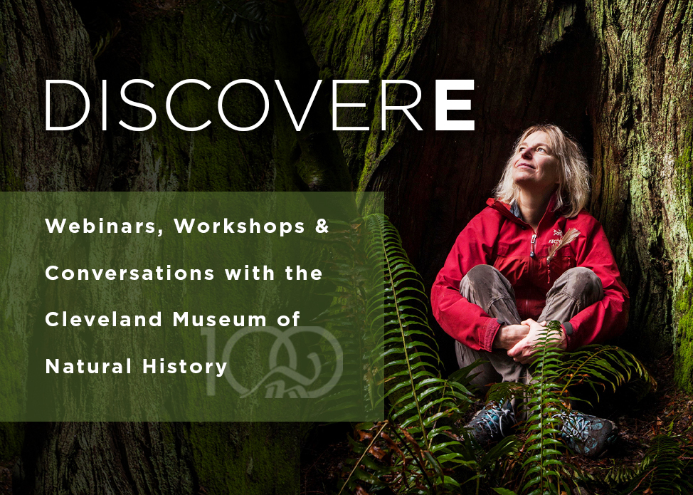 Discover E: Finding the Mother Tree: An Evening with Dr. Suzanne Simard