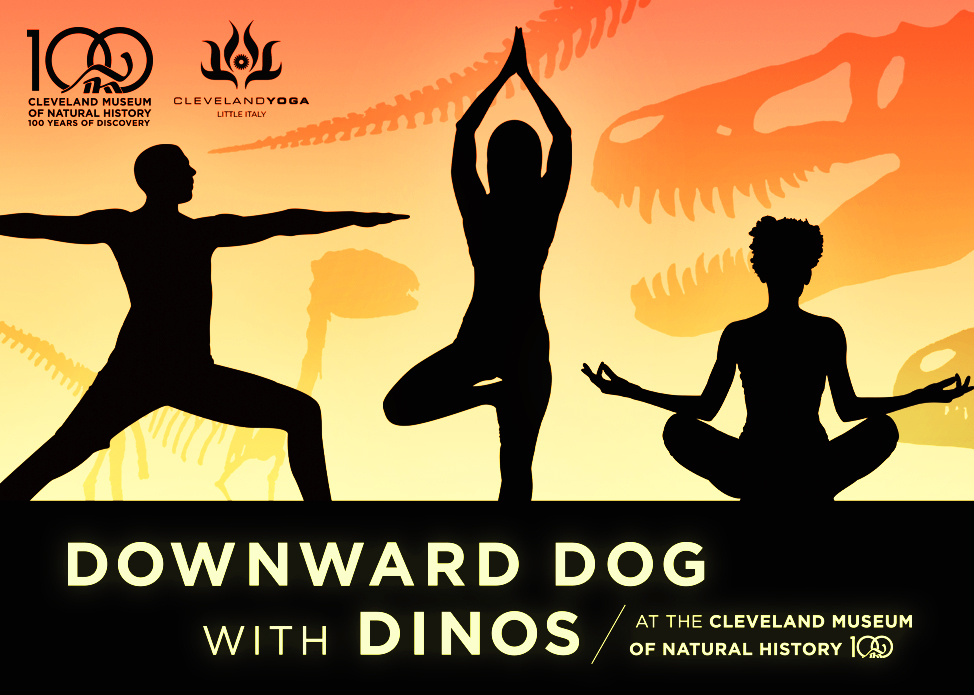 Downward Dog with Dinos: Summer Solstice yoga with Cleveland Yoga Little Italy