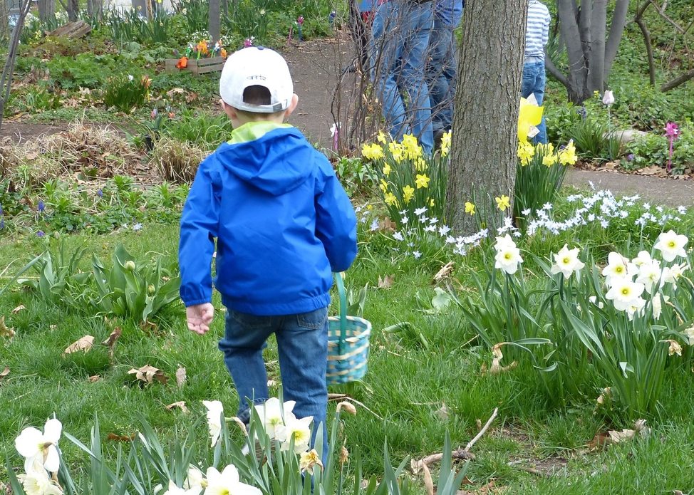 Spring Egg Hunt