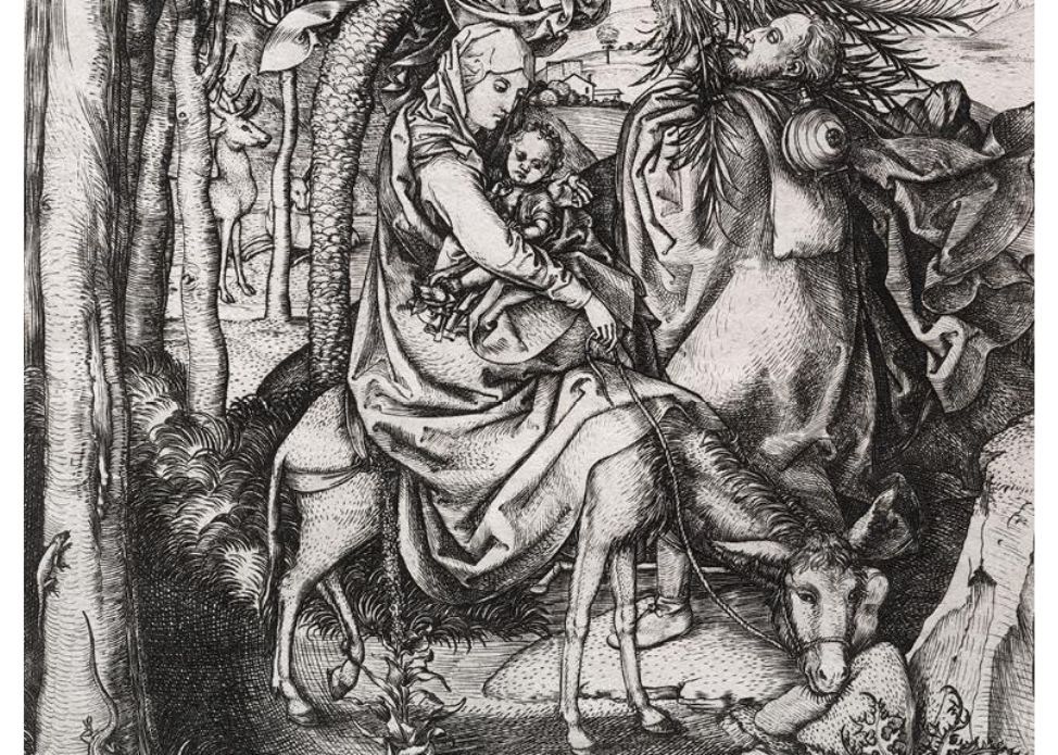 The Rabbit and the Rose: Botanical and Zoological Imagery in Renaissance Prints