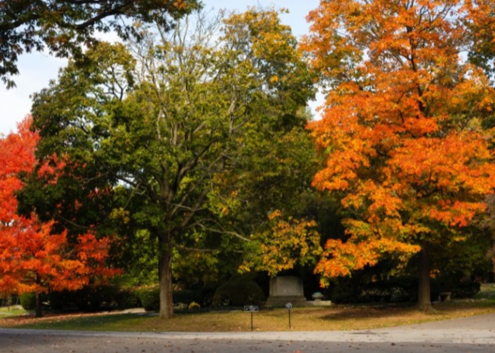 Fall Colors Walk
