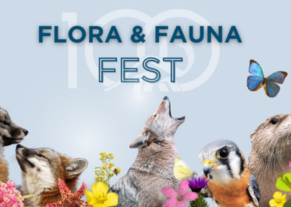 Flora & Fauna Fest