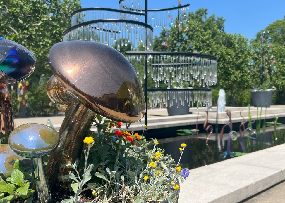 Bloom! Botanicals and Birdhouses