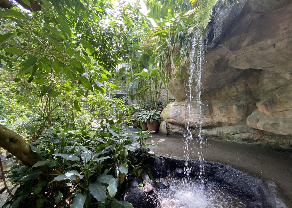 Free Admission for Martin Luther King, Jr. Day