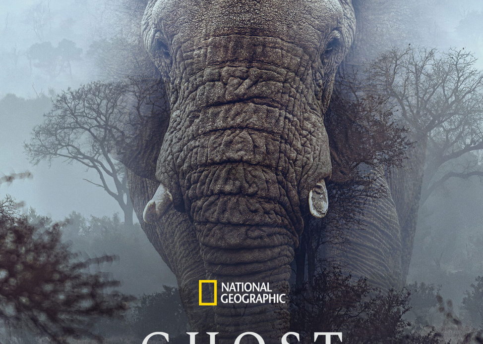 Cleveland Cinematheque Screens GHOST ELEPHANTS