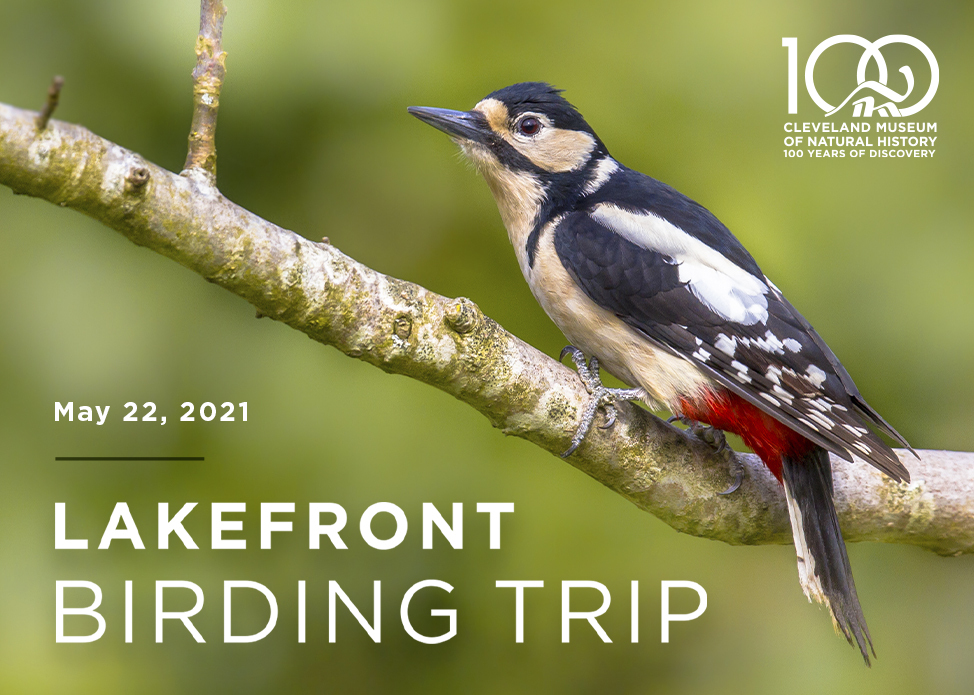 Lakefront Birding Trip