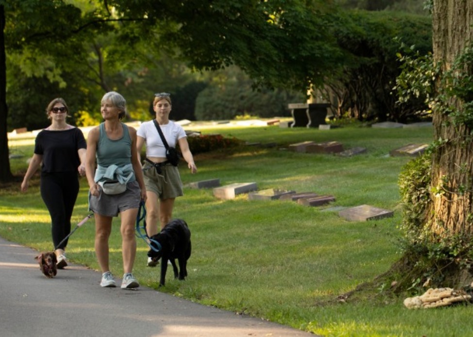 Pack Walk with Sirius Strides