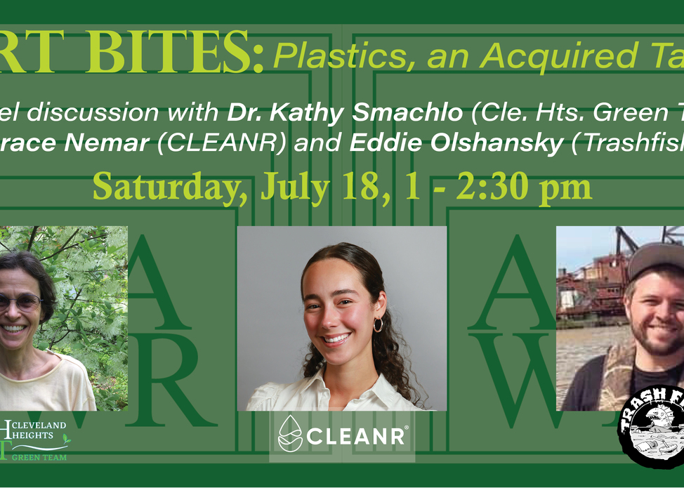ART BITES: Plastics, an Acquired Taste Panel Discussion