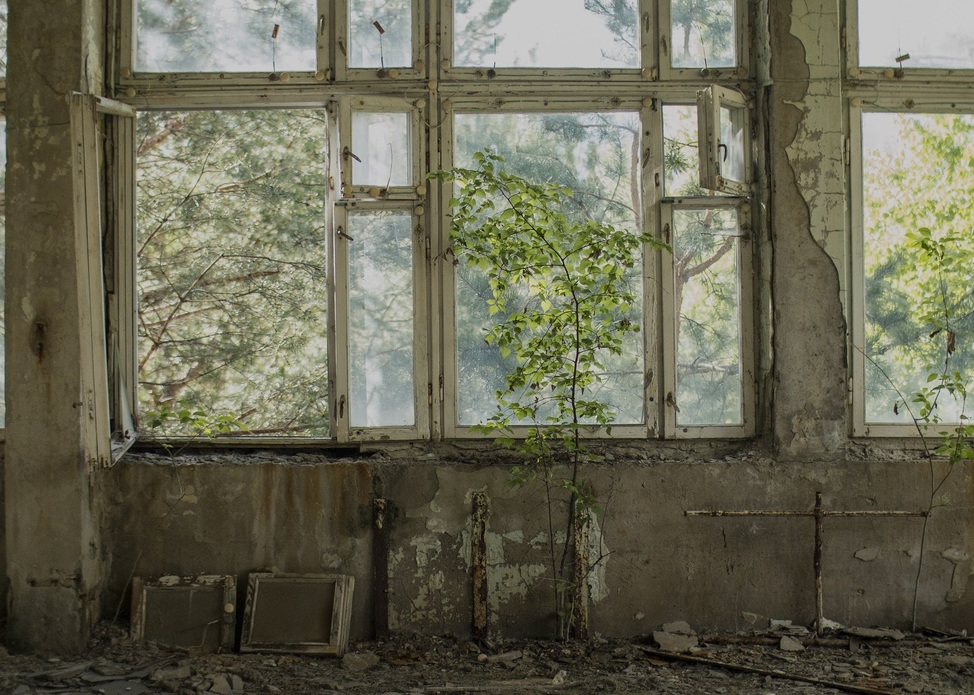 Black Grass art exhibit by Rachel Yurkovich