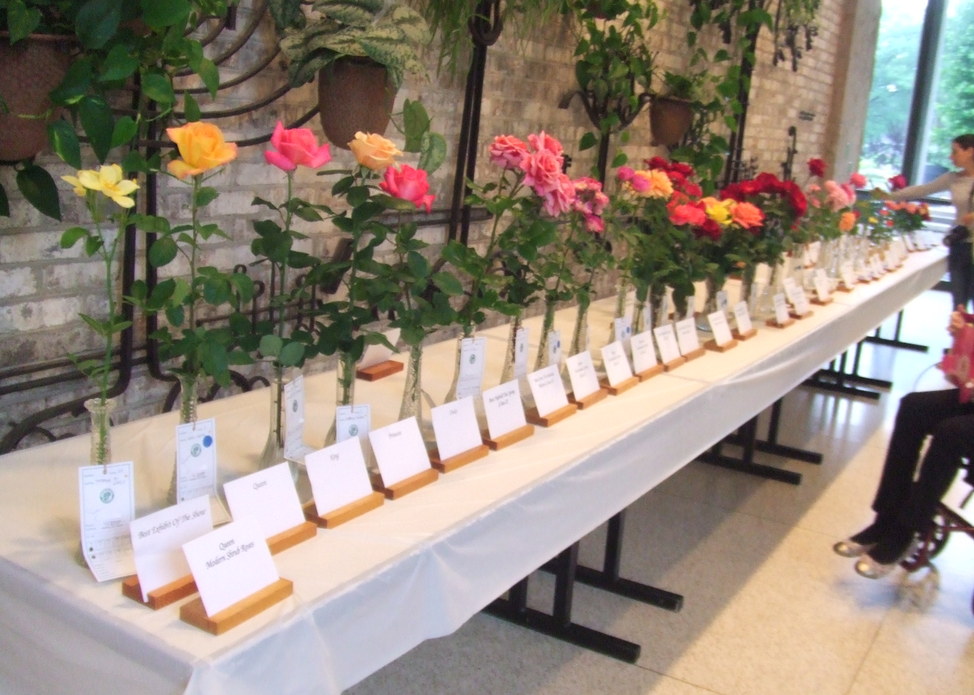 Cleveland Rose Society Show