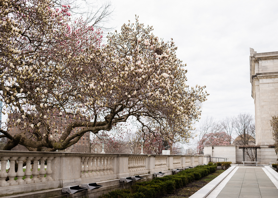University Circle Spring Blooms Tracker 2026