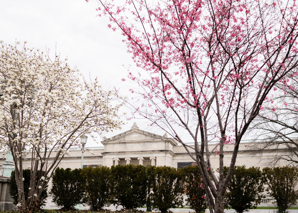 University Circle Spring Blooms Tracker 2026