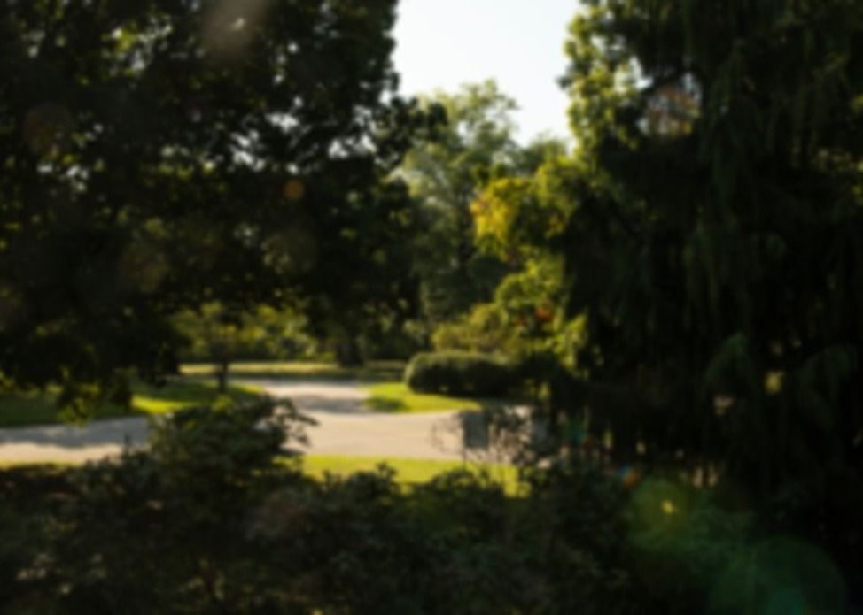 Twilight Tour
