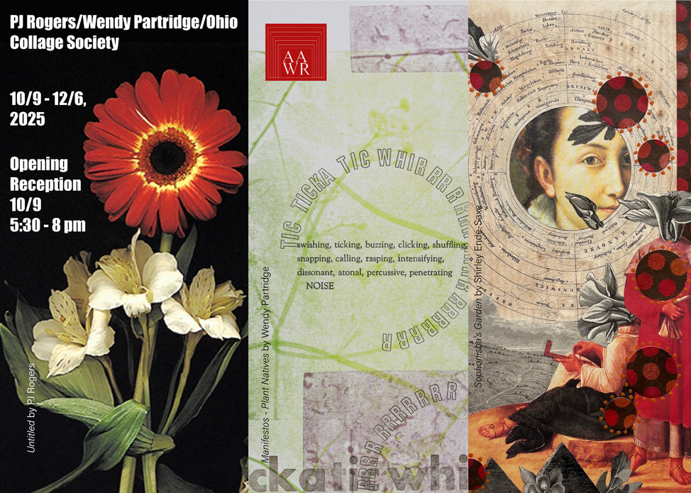 PJ Rogers/Wendy Partridge/Ohio Collage Society Opening Reception