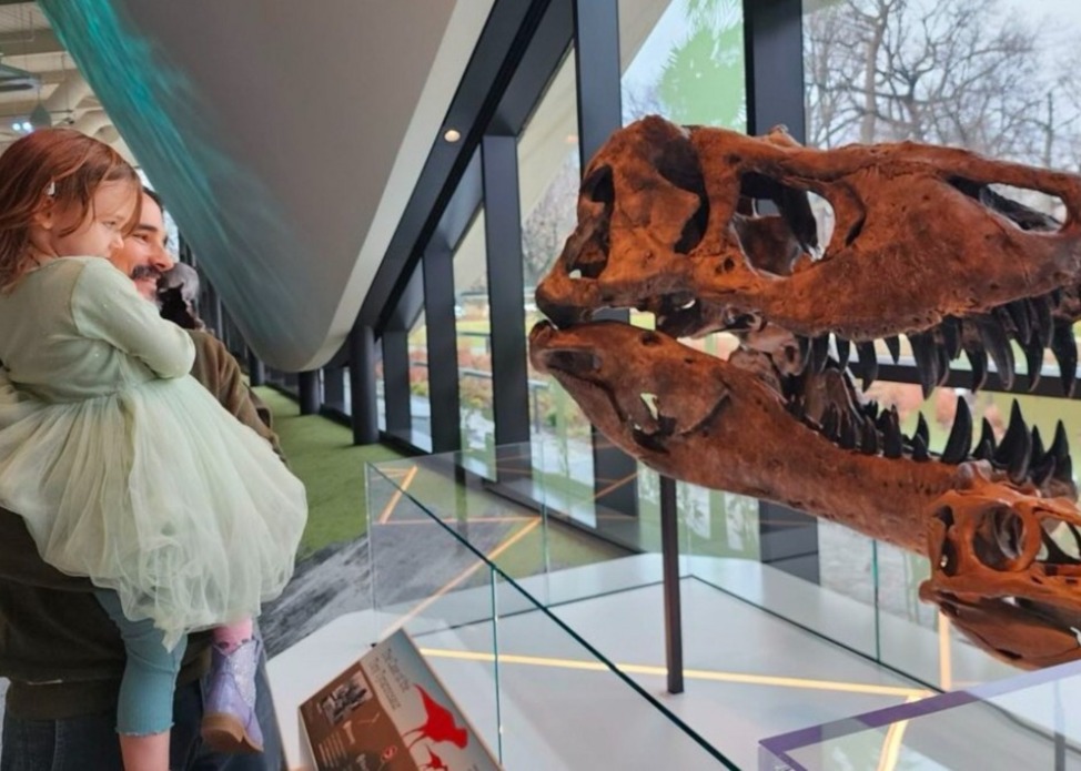 Dino Days