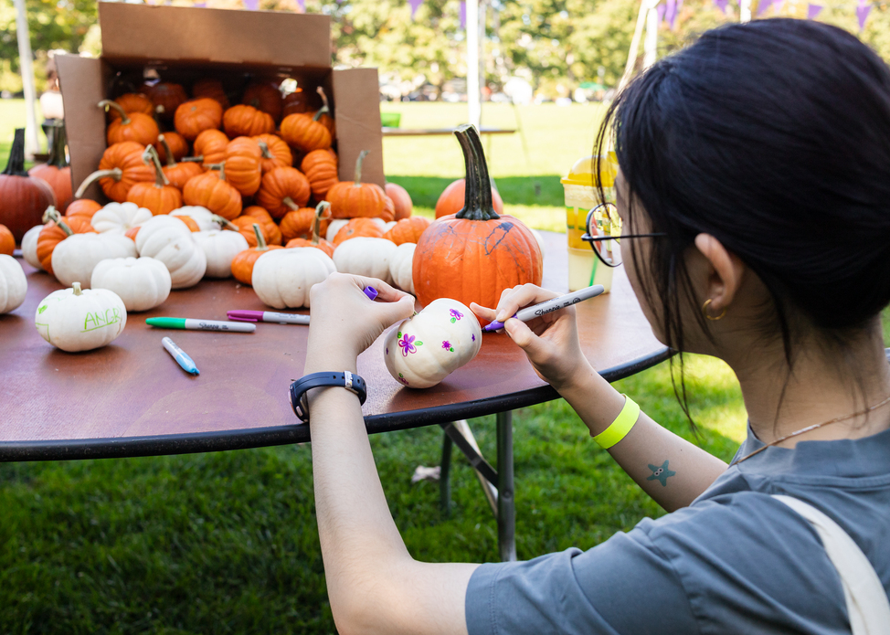 YAY! Fall Fun