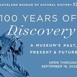 100 Years of Discovery: A Museum's Past, Present & Future