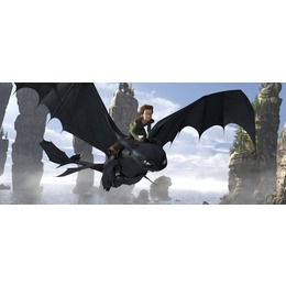 How To Train Your Dragon in Concert