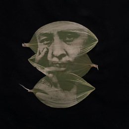 Photo Synthesis Photography Workshop 