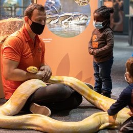 Wildlife Rescue: Miracles in Conservation