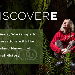 Discover E: Finding the Mother Tree: An Evening with Dr. Suzanne Simard