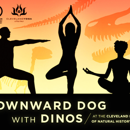 Downward Dog with Dinos: Yoga with Cleveland Yoga Little Italy  