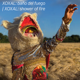 Federico Cuatlacuatl: XOXAL: baño de fuego | XOXAL: shower of fire