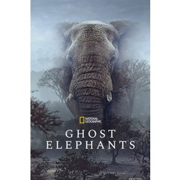 Cleveland Cinematheque Screens GHOST ELEPHANTS