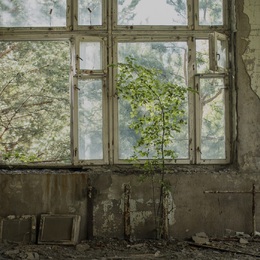 Black Grass art exhibit by Rachel Yurkovich