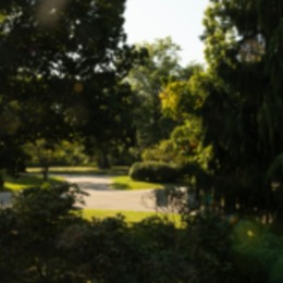 Twilight Tour
