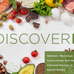 DiscoverE: New Year, New Life: Evolution and the Human Diet 