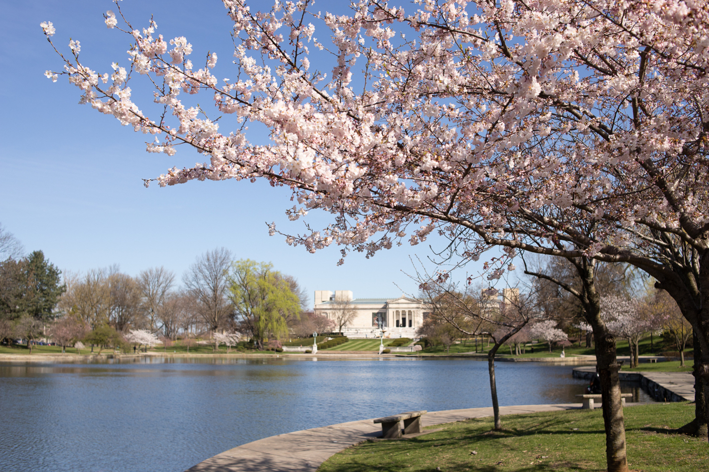 Springupdateapril12 111